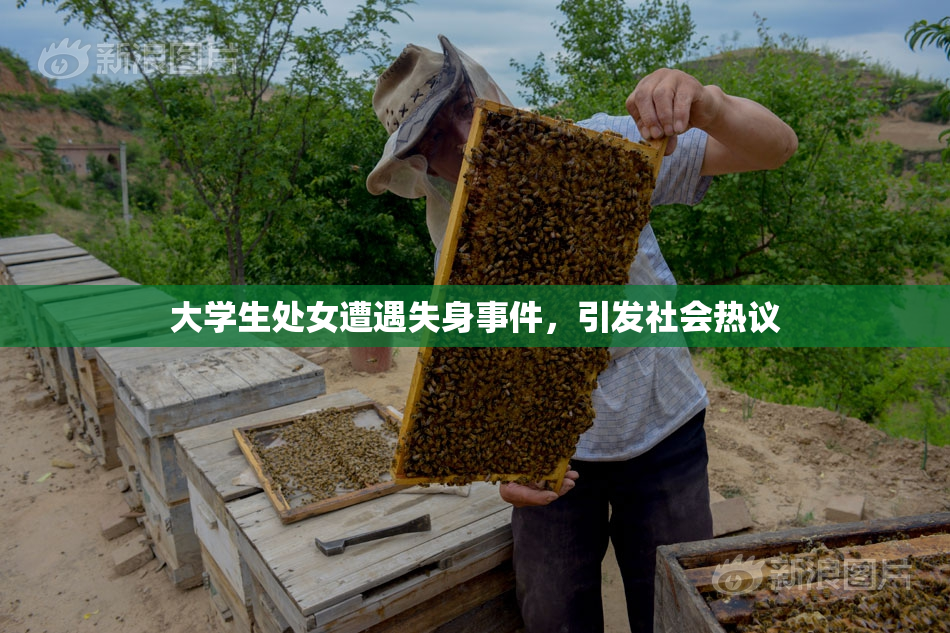 大学生处女遭遇失身事件，引发社会热议