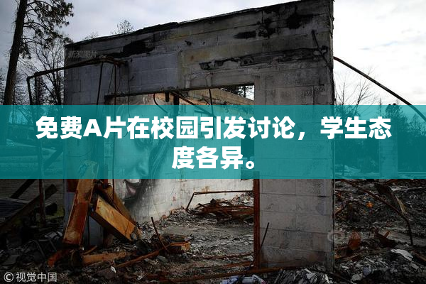 免费A片在校园引发讨论，学生态度各异。