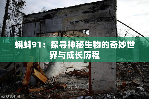 蝌蚪91：探寻神秘生物的奇妙世界与成长历程
