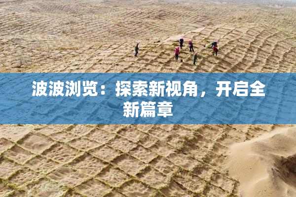 波波浏览：探索新视角，开启全新篇章