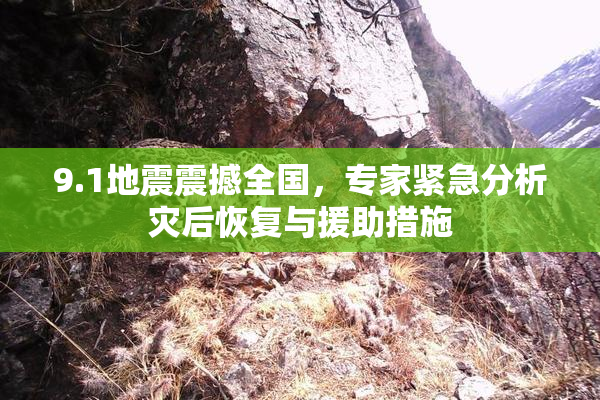 9.1地震震撼全国，专家紧急分析灾后恢复与援助措施