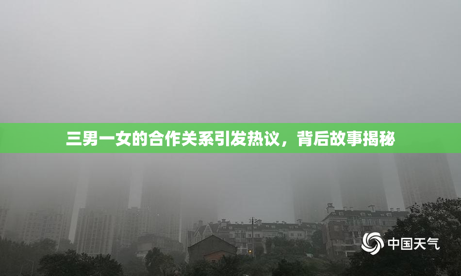 三男一女的合作关系引发热议，背后故事揭秘