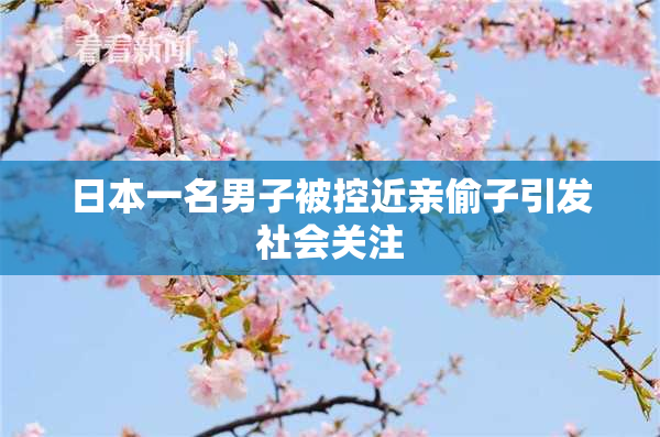 日本一名男子被控近亲偷子引发社会关注