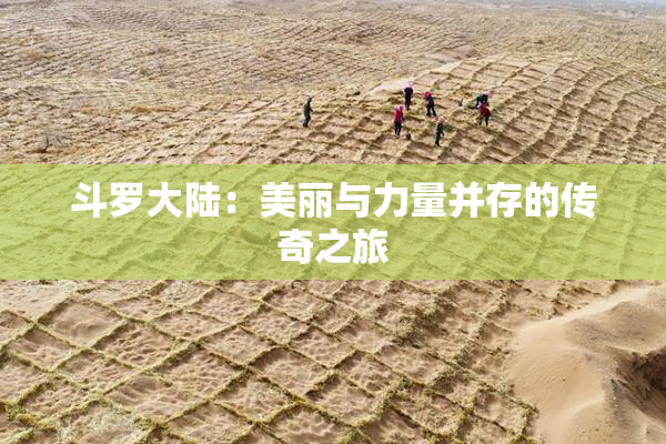 斗罗大陆：美丽与力量并存的传奇之旅