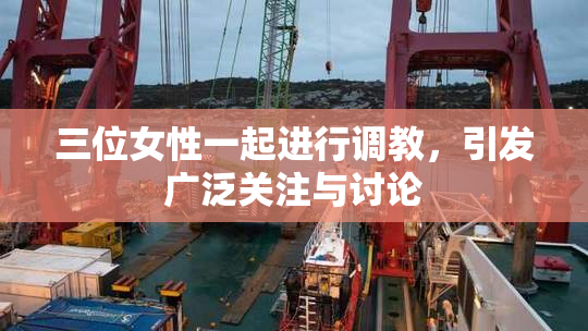 三位女性一起进行调教，引发广泛关注与讨论