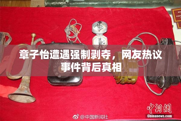 章子怡遭遇强制剥夺，网友热议事件背后真相