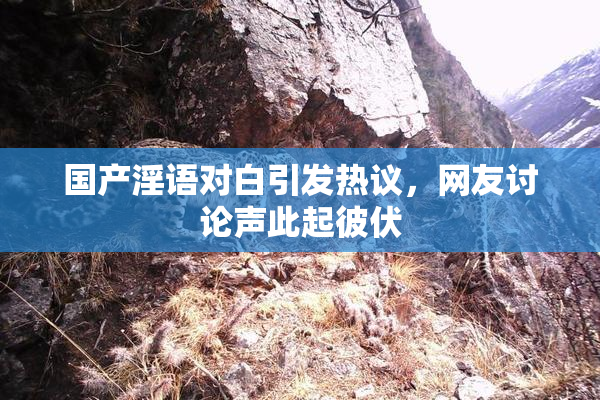 国产淫语对白引发热议，网友讨论声此起彼伏