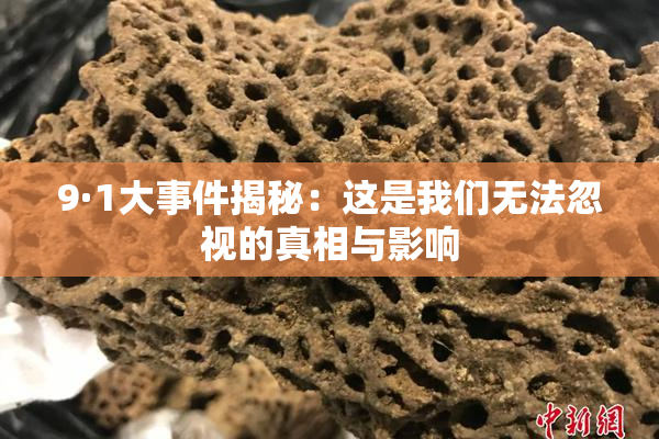 9·1大事件揭秘：这是我们无法忽视的真相与影响