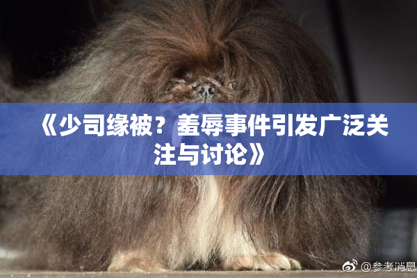 《少司缘被？羞辱事件引发广泛关注与讨论》