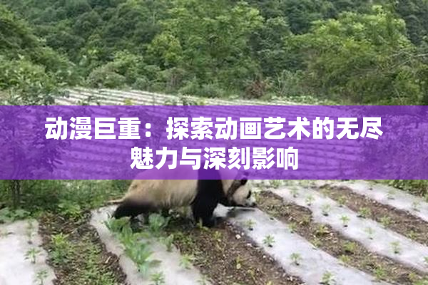 动漫巨重：探索动画艺术的无尽魅力与深刻影响