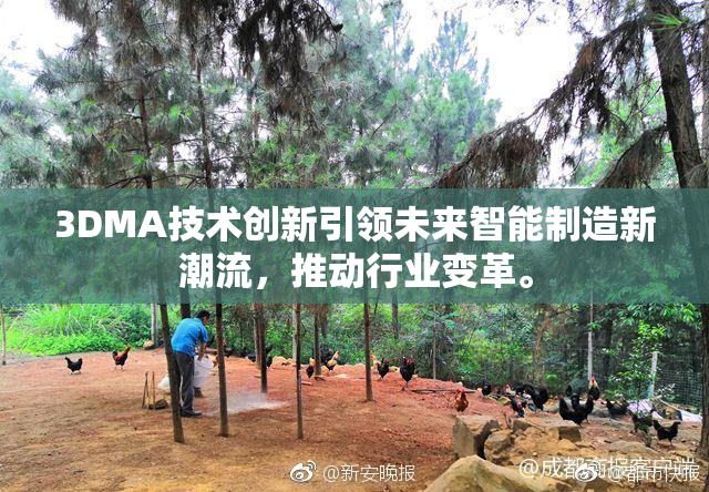 3DMA技术创新引领未来智能制造新潮流，推动行业变革。