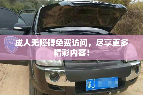 成人无障碍免费访问，尽享更多精彩内容！