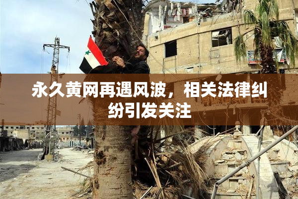 永久黄网再遇风波，相关法律纠纷引发关注