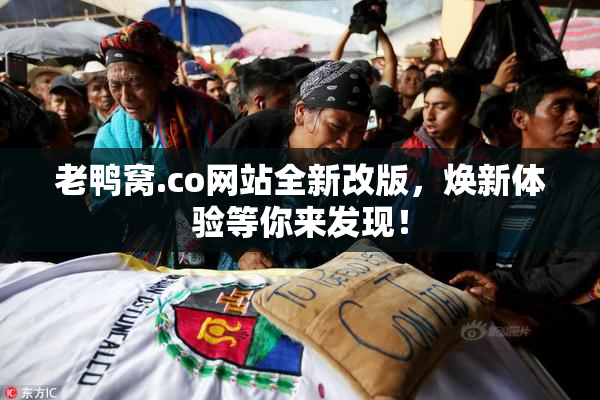 老鸭窝.co网站全新改版，焕新体验等你来发现！