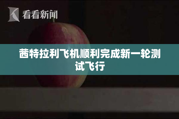 茜特拉利飞机顺利完成新一轮测试飞行