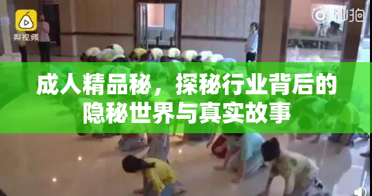 成人精品秘，探秘行业背后的隐秘世界与真实故事