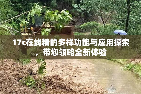 17c在线精的多样功能与应用探索，带您领略全新体验