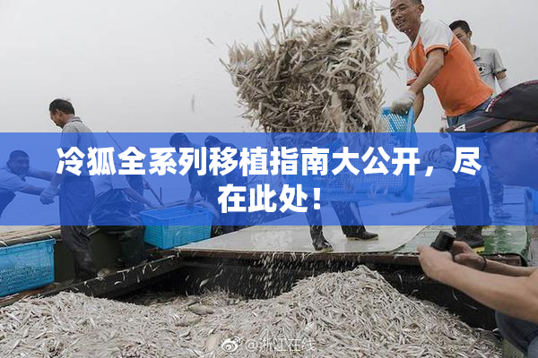 冷狐全系列移植指南大公开，尽在此处！