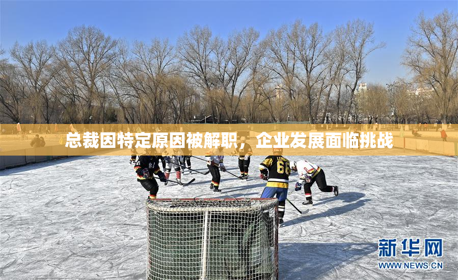 总裁因特定原因被解职，企业发展面临挑战