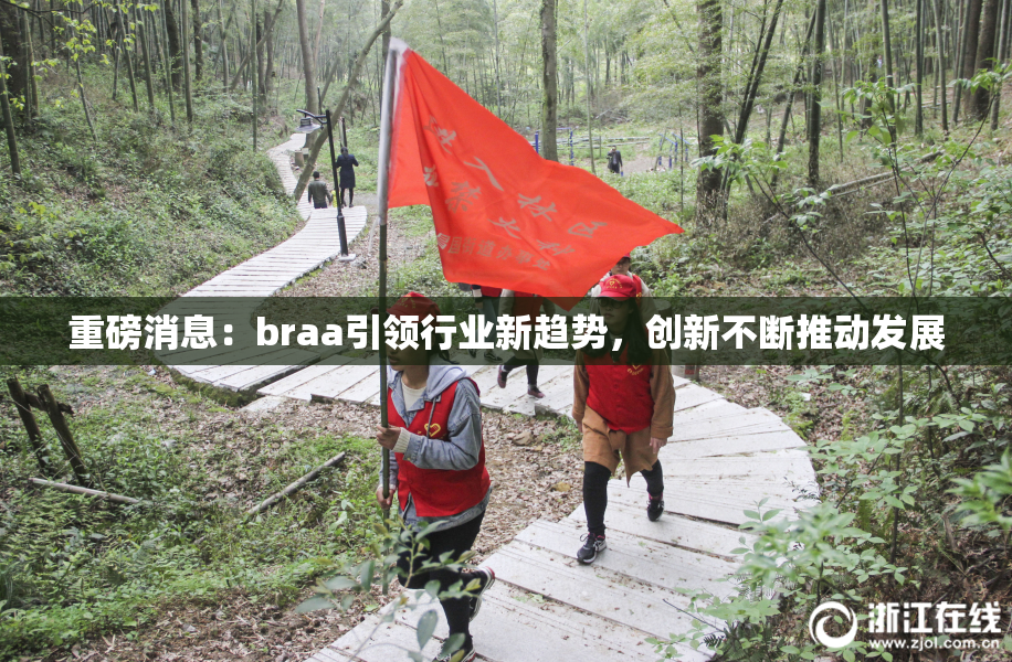重磅消息：braa引领行业新趋势，创新不断推动发展