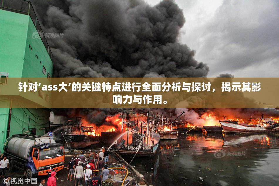 针对‘ass大’的关键特点进行全面分析与探讨，揭示其影响力与作用。