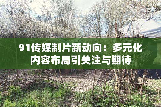 91传媒制片新动向：多元化内容布局引关注与期待