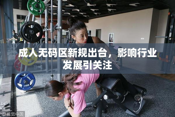 成人无码区新规出台，影响行业发展引关注