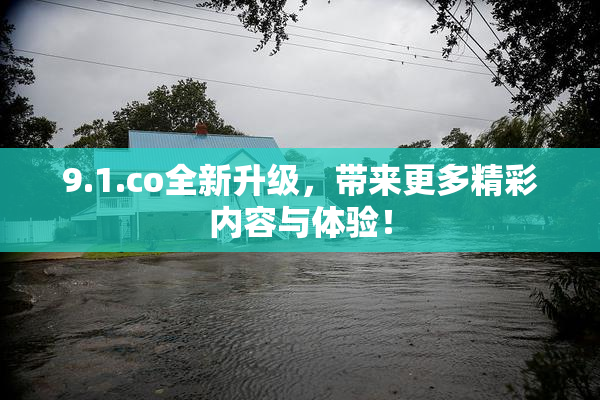 9.1.co全新升级，带来更多精彩内容与体验！