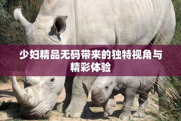 少妇精品无码带来的独特视角与精彩体验