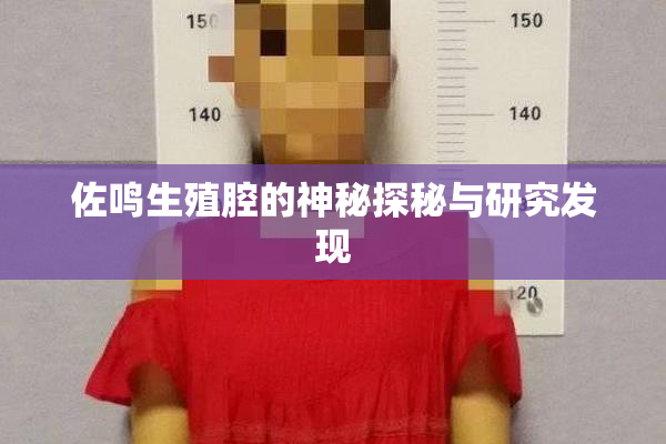 佐鸣生殖腔的神秘探秘与研究发现
