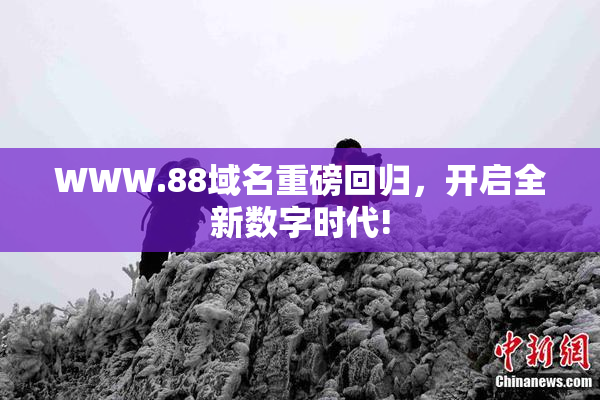 WWW.88域名重磅回归，开启全新数字时代!