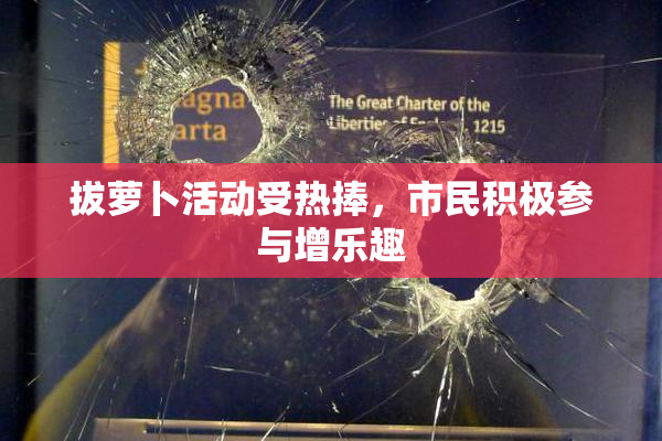 拔萝卜活动受热捧，市民积极参与增乐趣