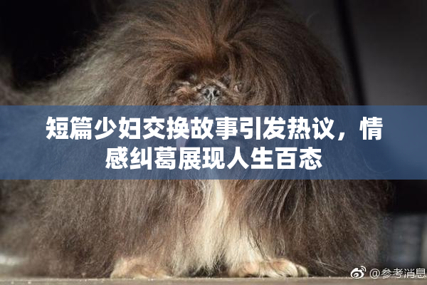 短篇少妇交换故事引发热议，情感纠葛展现人生百态