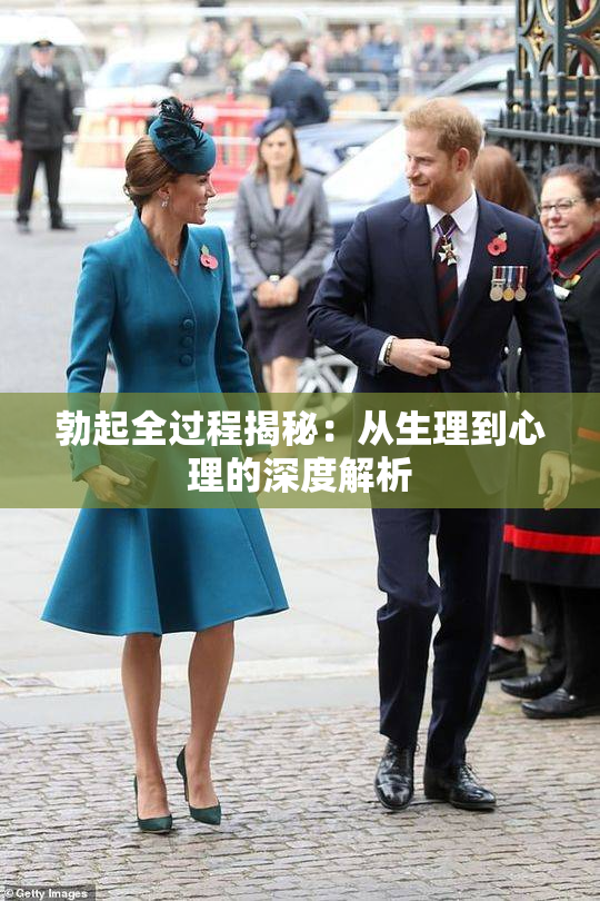 勃起全过程揭秘：从生理到心理的深度解析