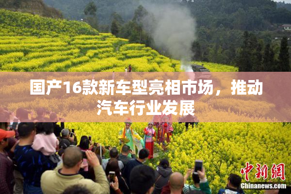 国产16款新车型亮相市场，推动汽车行业发展