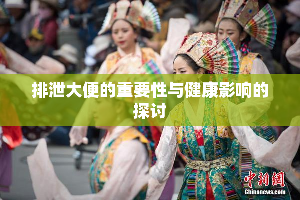 排泄大便的重要性与健康影响的探讨