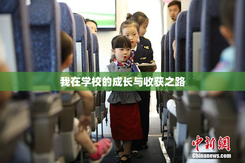 我在学校的成长与收获之路