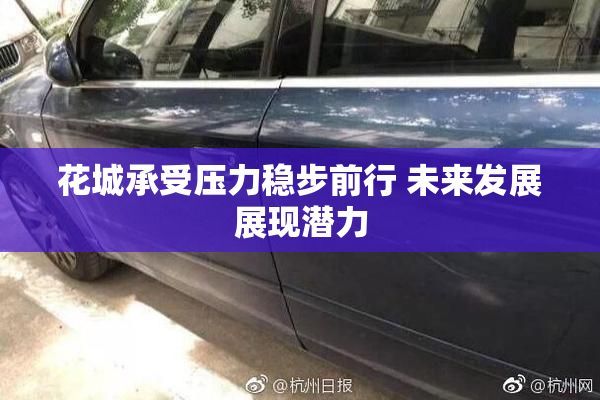 花城承受压力稳步前行 未来发展展现潜力