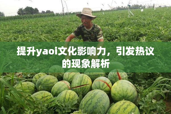 提升yaoi文化影响力，引发热议的现象解析