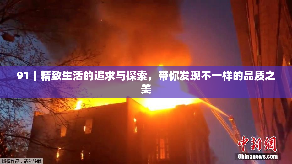 91丨精致生活的追求与探索，带你发现不一样的品质之美