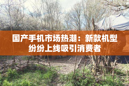 国产手机市场热潮：新款机型纷纷上线吸引消费者