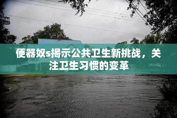 便器奴s揭示公共卫生新挑战，关注卫生习惯的变革