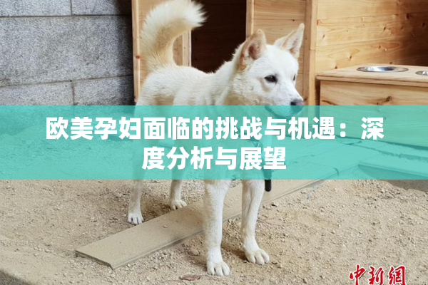 欧美孕妇面临的挑战与机遇：深度分析与展望