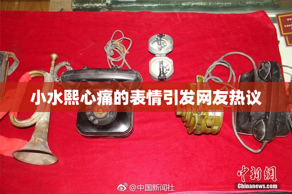小水熙心痛的表情引发网友热议