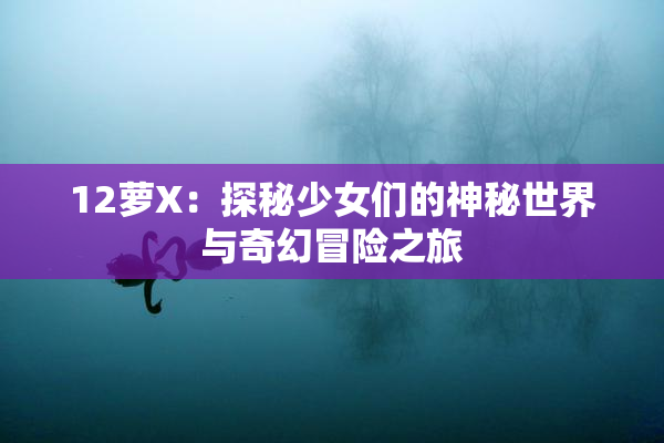 12萝X：探秘少女们的神秘世界与奇幻冒险之旅