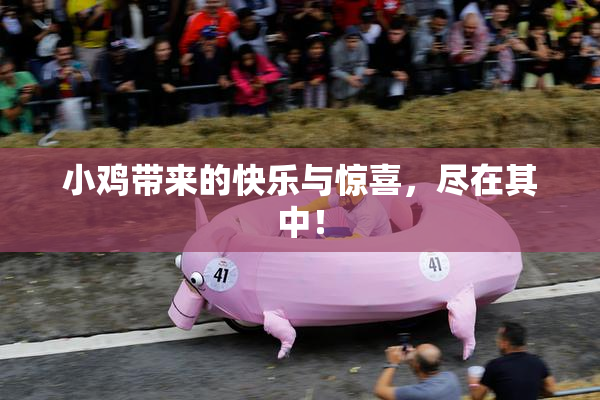 小鸡带来的快乐与惊喜，尽在其中！