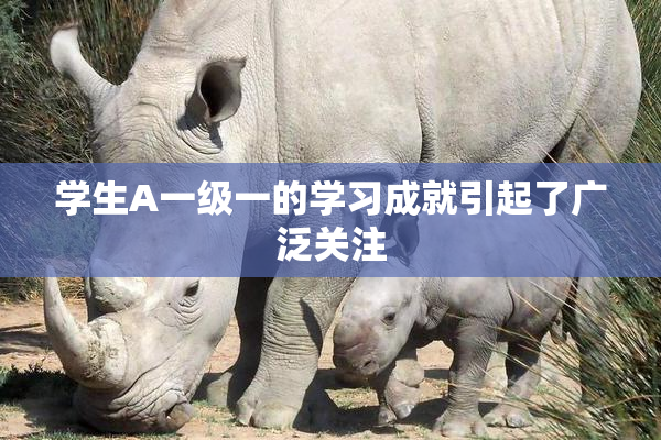 学生A一级一的学习成就引起了广泛关注