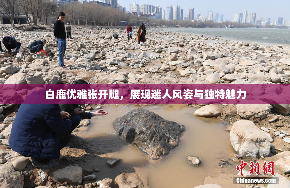 白鹿优雅张开腿，展现迷人风姿与独特魅力