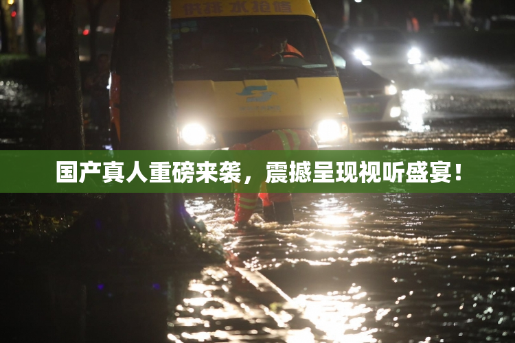 国产真人重磅来袭，震撼呈现视听盛宴！