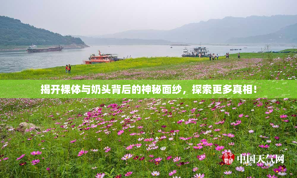 揭开裸体与奶头背后的神秘面纱，探索更多真相！